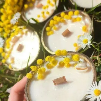 image represente a candle of Louison Haas